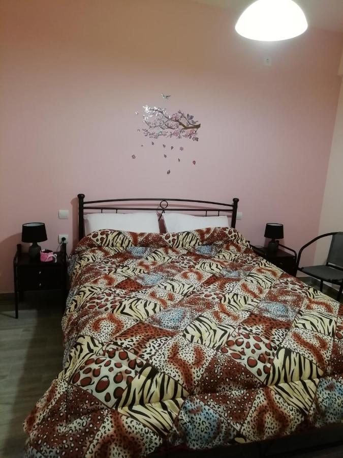 Katelia'S Apartments Almiropótamos 外观 照片